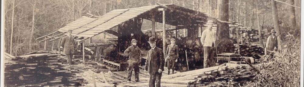 Samuel Paul Sawmill